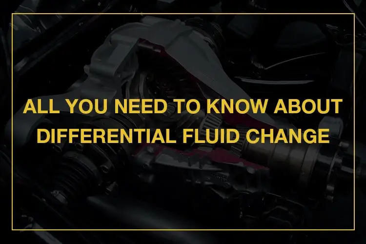 Differential fluid change guide