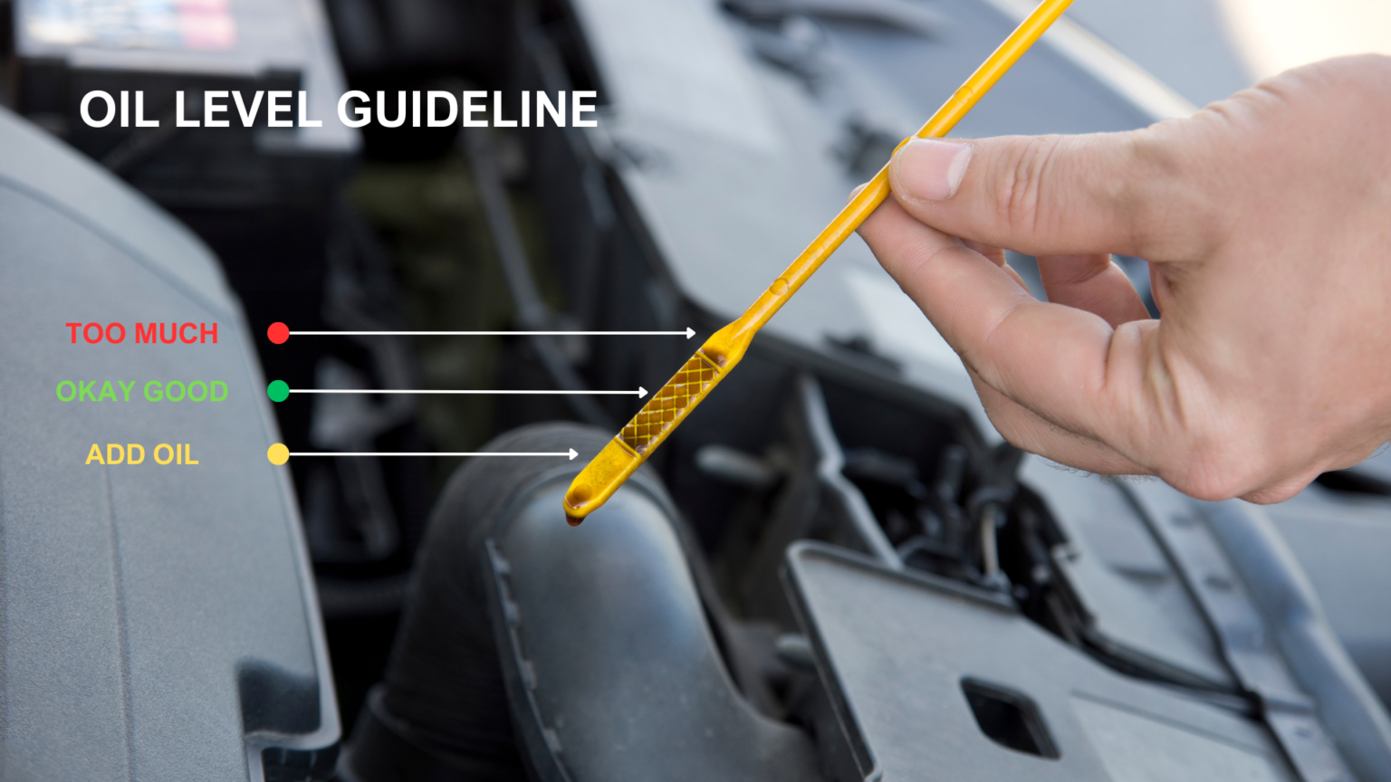 The Ultimate Guide: How to Properly Read Your Car's Oil Dipstick - Oils ...